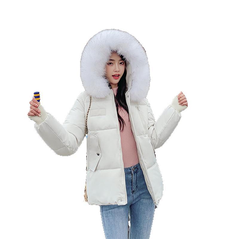 New Autumn Winter Coat Women's Top Down Cotton-padded Jacket