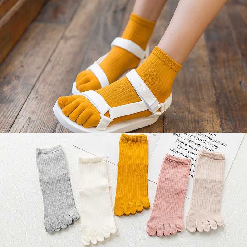 Ladies mid-tube cotton five-finger socks