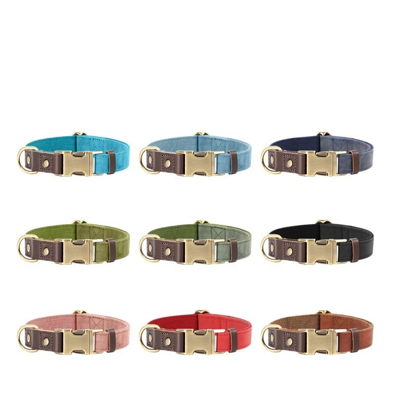 Medium Sized Dog Collar For Walking