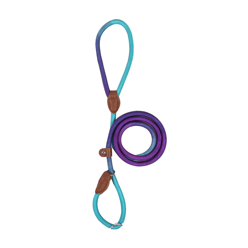 Colorful Durable Bold Nylon Pet Hand Holding Rope