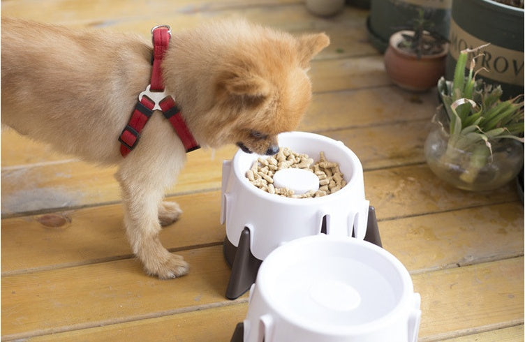 Wet and dry pet bowl