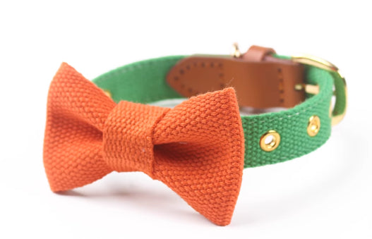 Canvas Hand Holding Rope Leather Stitching Collar Bow