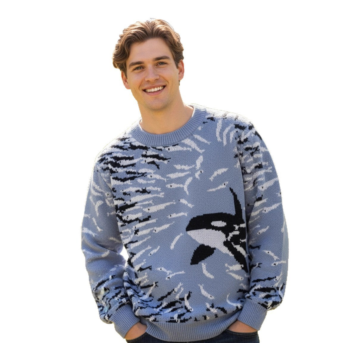 Casual Fashion Korean Style Knitted Wool Sweater