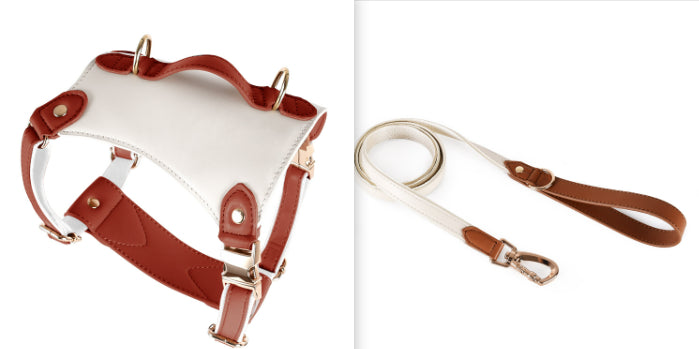 Leather Pet Vest Type Lead Rope Chest Strap