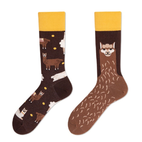 Asymmetric AB socks