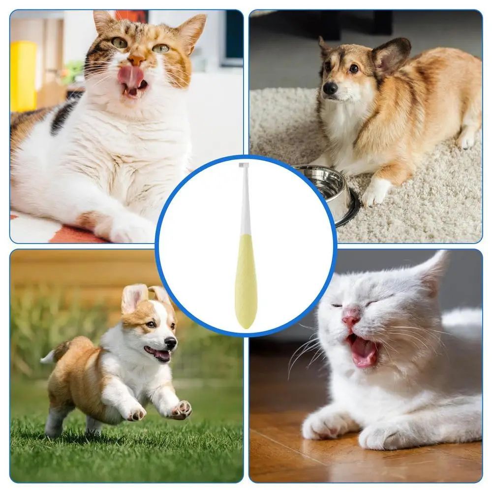 Pet Toothbrush Kitten Tooth Brushes Small Cats Safe Dog Oral Care Odorless Cat Tooth Care Brush With Anti-Slip Handle Pet Teeth