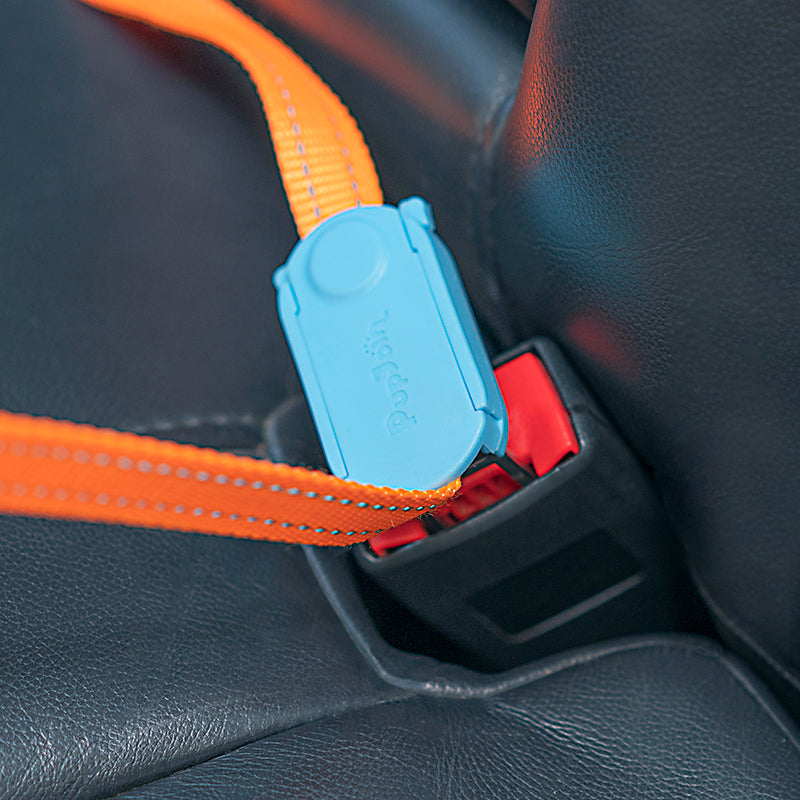 Small And Medium-sized Dog Car Supplies Fixed Car Dog Safety Buckle Traction Rope