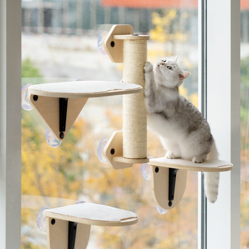 Meow Hu Wang Is Also Cat Scratch Trees Not Covering An Area Of Glass Wall