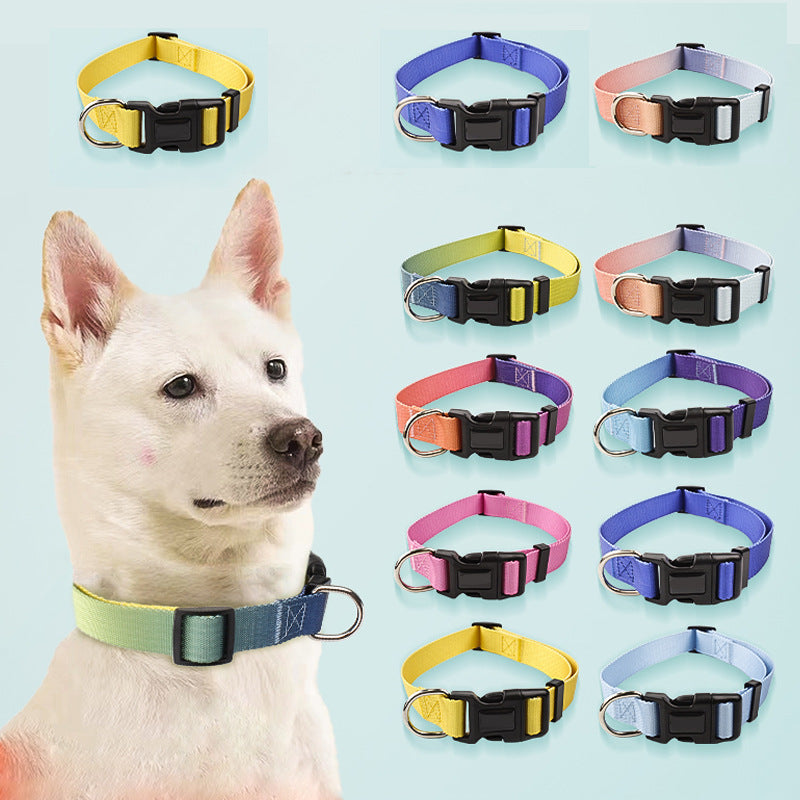 Nylon Pet Collar Traction Rope Set