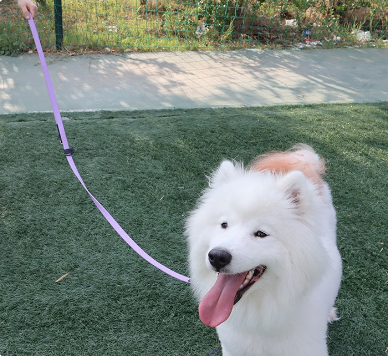 PVC Multifunctional Running Pet Hand Holding Rope