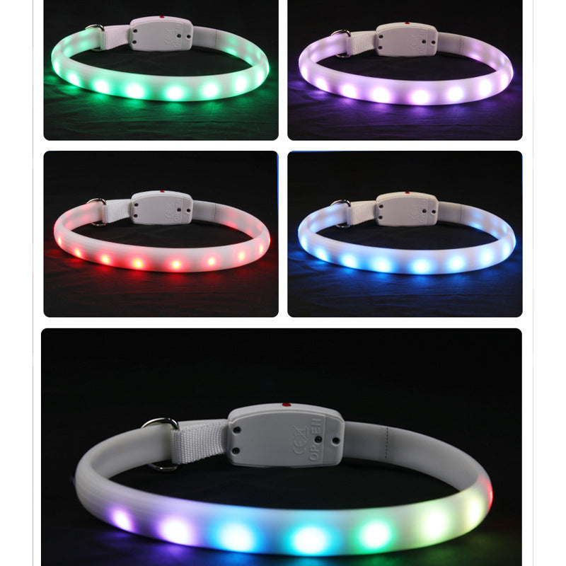 Genopladelig USB-halsbånd til kæledyr med LED-lys, selvlysende, blinkende, til udendørs gåture og nattesikkerhed
