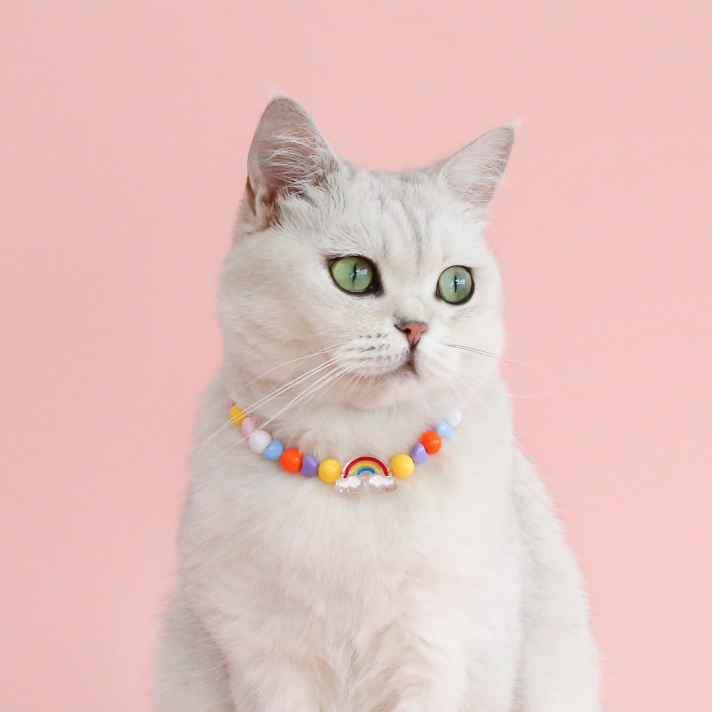 INS South Korea Colorful Pearl Pet Necklace Small Flower Rainbow Peach