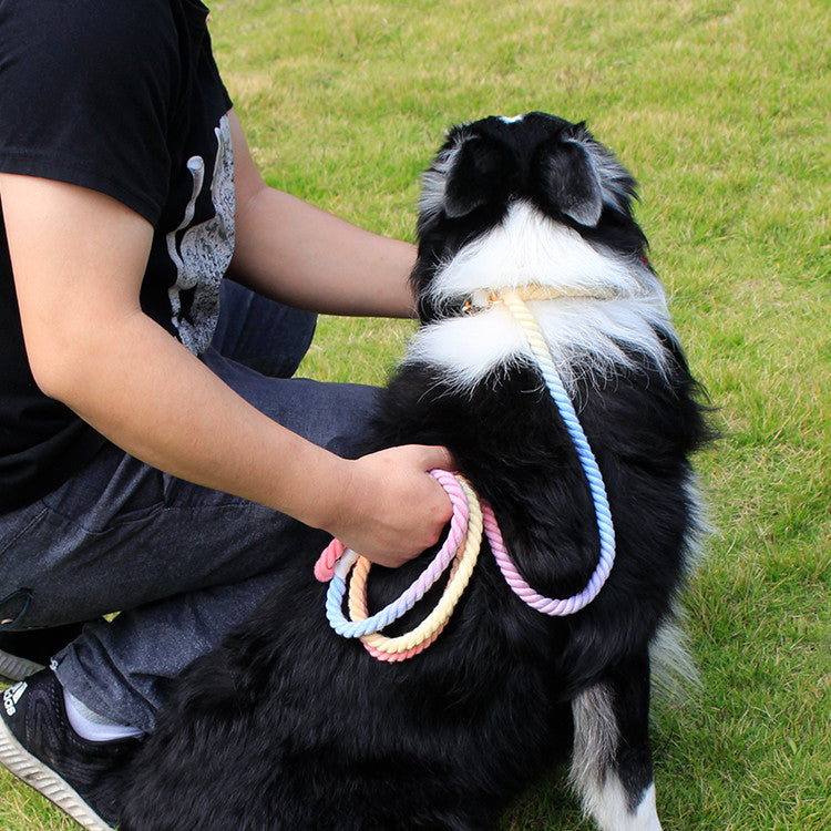 Dog Rainbow Traction Rope Explosion-proof And Adjustable