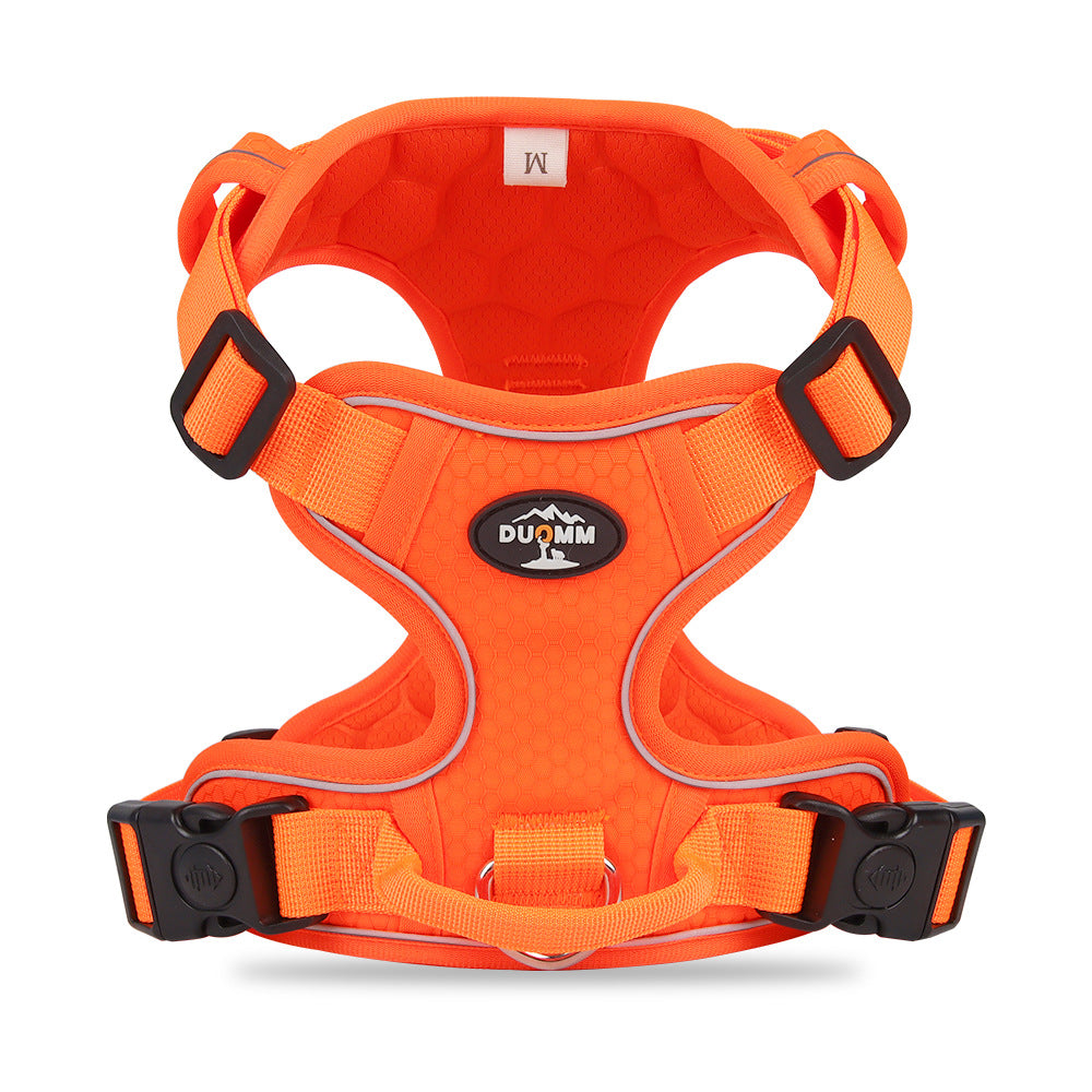 Dog Hand Holding Rope Vest Reflective