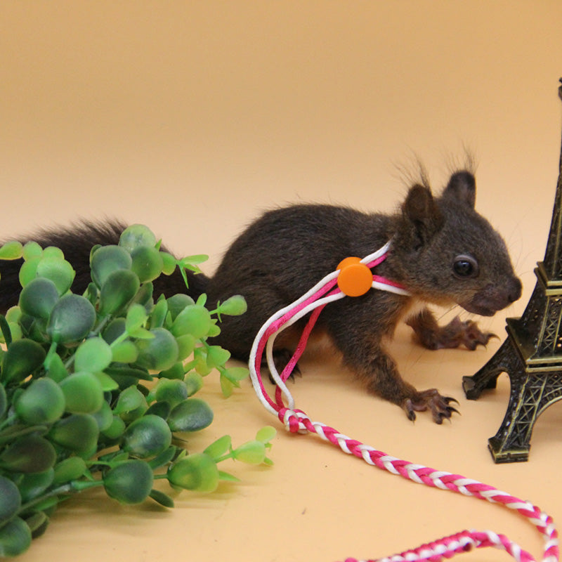 Hamster pull rope hand woven rope
