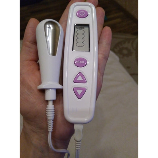 Domestic loose urine leakage, prolapse and bulging repair training device