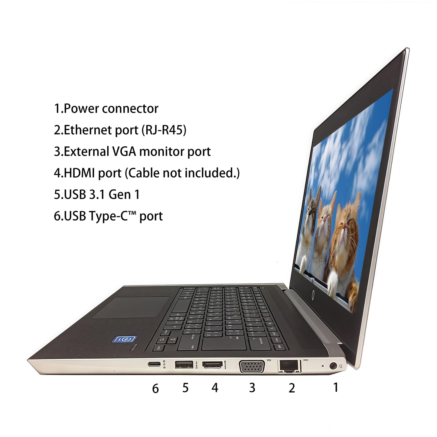 HP ProBook MT31 bärbar dator med tunn klient, 13,3 tum HD-bärbar dator, Intel Celeron 3867U, 8 GB RAM, 128 GB SSD, amerikanskt tangentbord, Windows 11 Pro (renoverad)