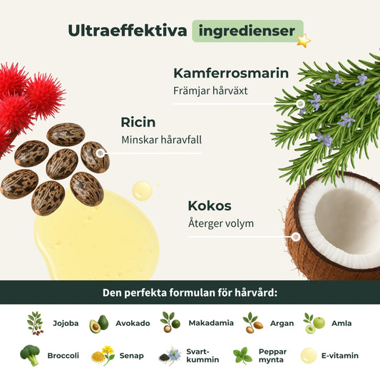Ekologisk Rosmarinolja för Hår - Främjar Tillväxt & Minskar Håravfall - Eterisk Rosmarinolja, Ricino, Argan och Jojoba - Glasflaska med Pipett + Pump - Organic Hair Growth Oil - 100ml