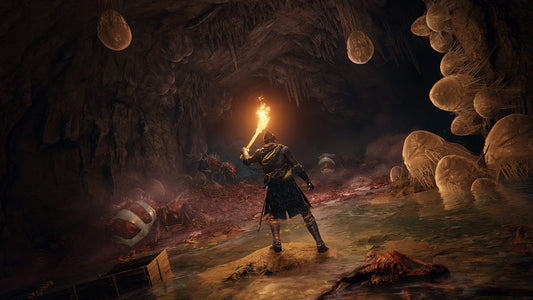 Bandai Namco Elden Ring (PS5)