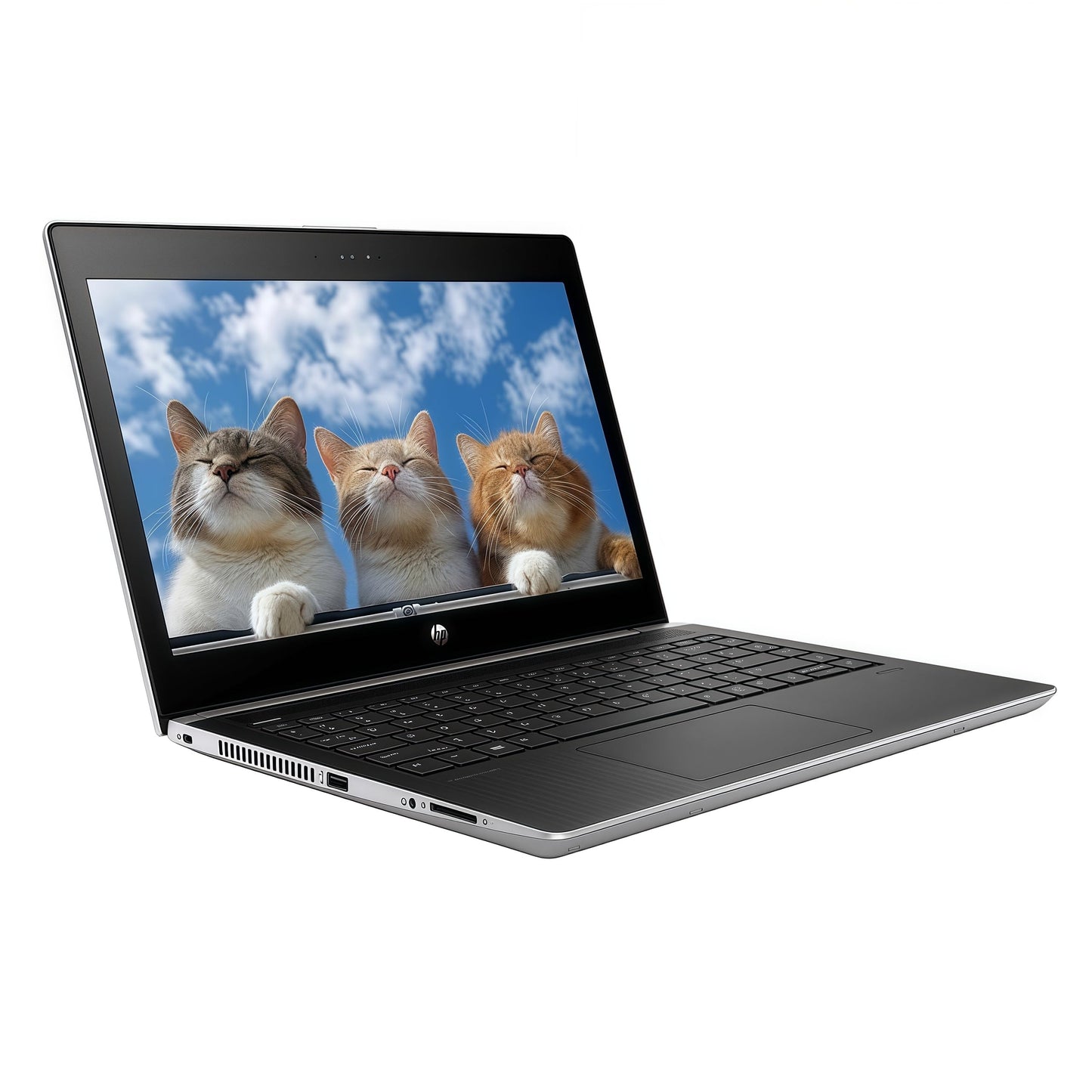 HP ProBook MT31 bärbar dator med tunn klient, 13,3 tum HD-bärbar dator, Intel Celeron 3867U, 8 GB RAM, 128 GB SSD, amerikanskt tangentbord, Windows 11 Pro (renoverad)