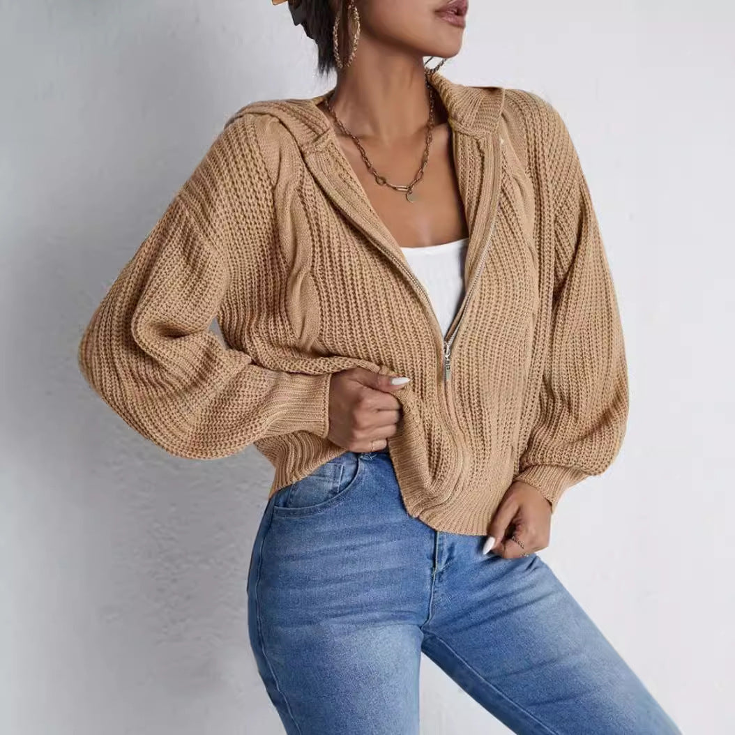 Autumn And Winter Hooded Cardigan Knitted Waffle Sweater Top