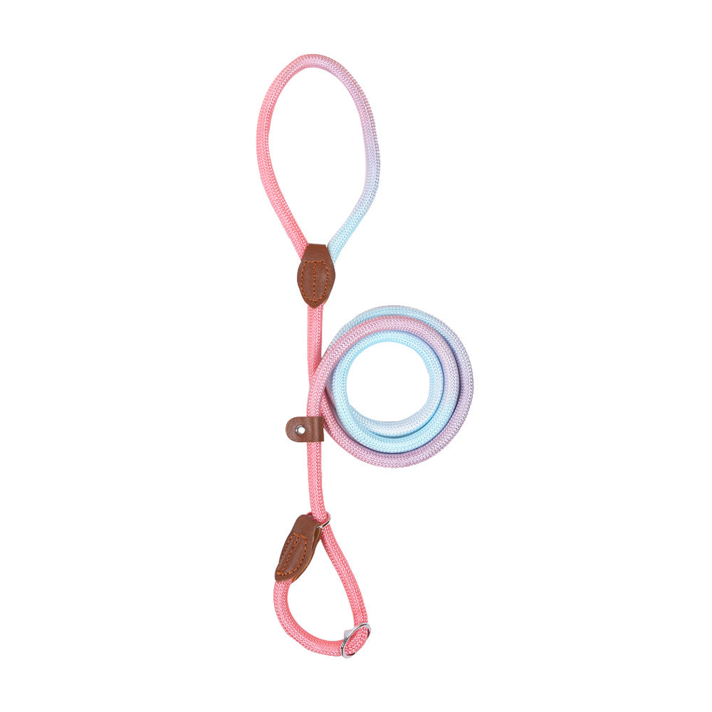 Colorful Durable Bold Nylon Pet Hand Holding Rope