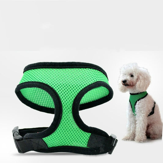 Hundehvalp Lille Hund Kat Polstret Vest