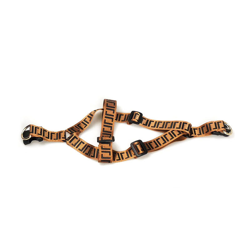 Pet Fashion Brand Dog Leash Collar