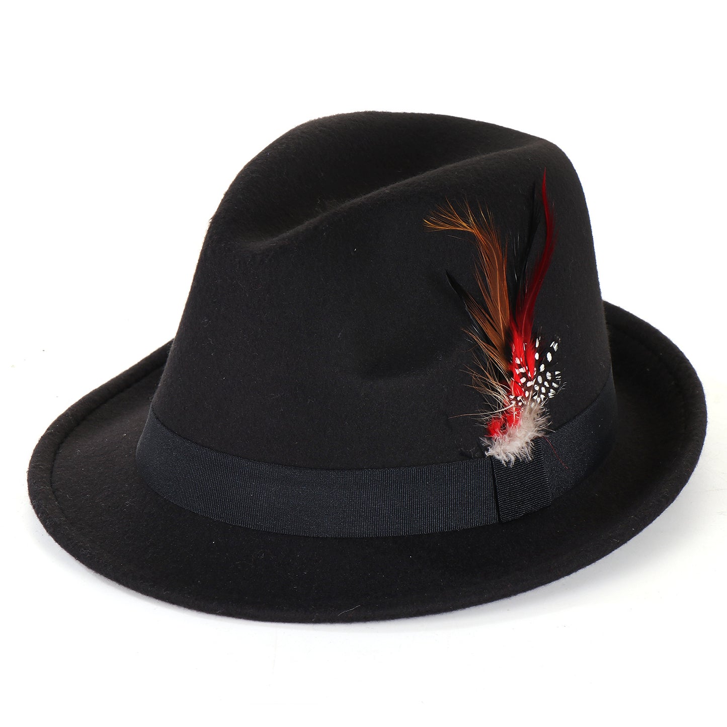 Fashion Men's And Women's Woolen Feather Hat