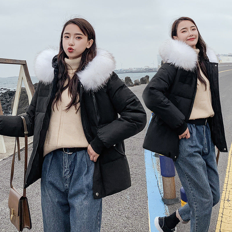 New Autumn Winter Coat Women's Top Down Cotton-padded Jacket