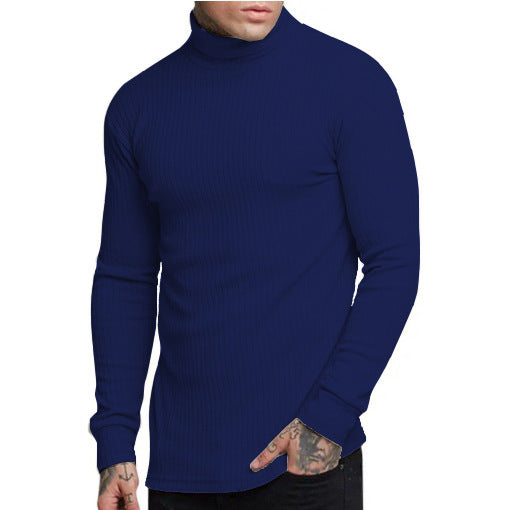 New Casual Men's Fashionable Solid Color High Neck Fried Dough Twist Stripe Knitwear