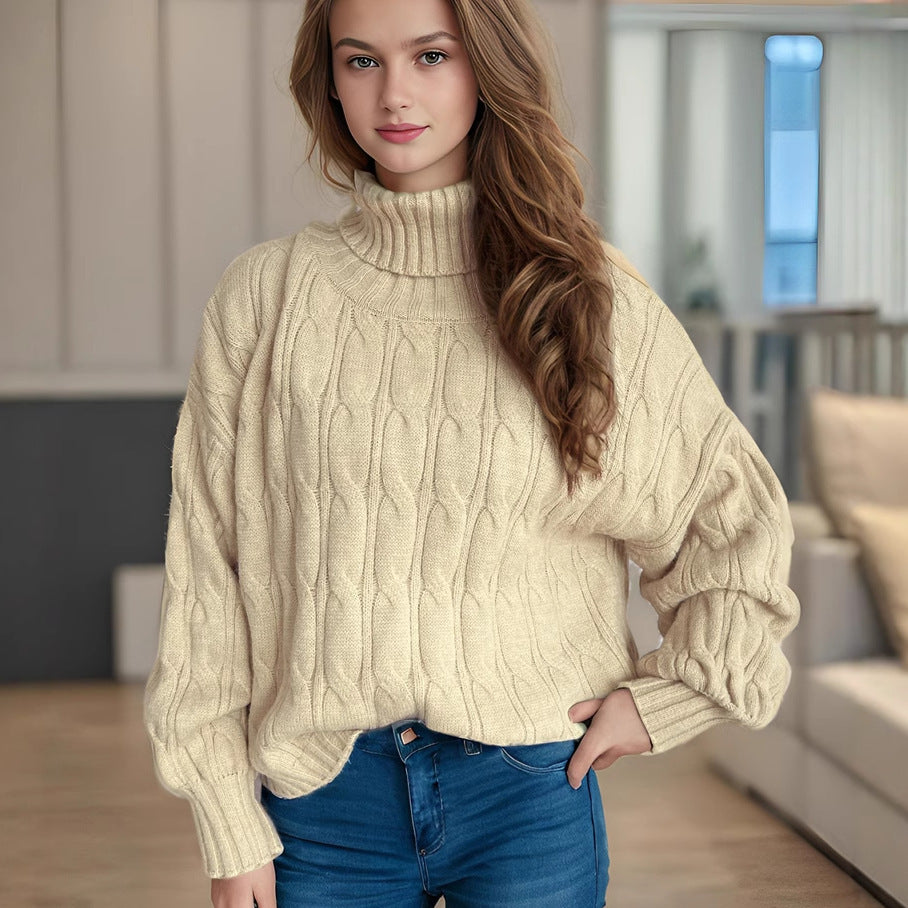 Turtleneck Solid Color Commute Loose Pullover