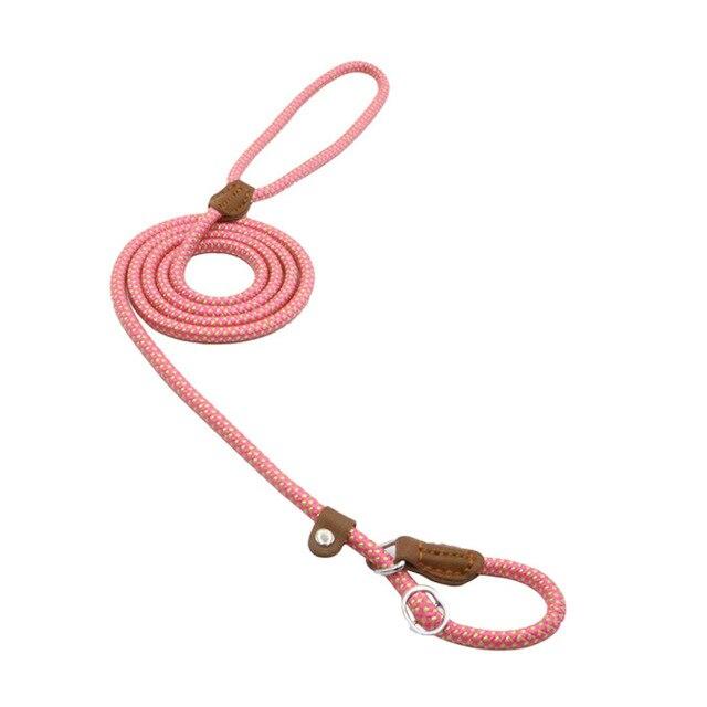 Strong and Sturdy Nylon Dog Collar, Lead, P Type