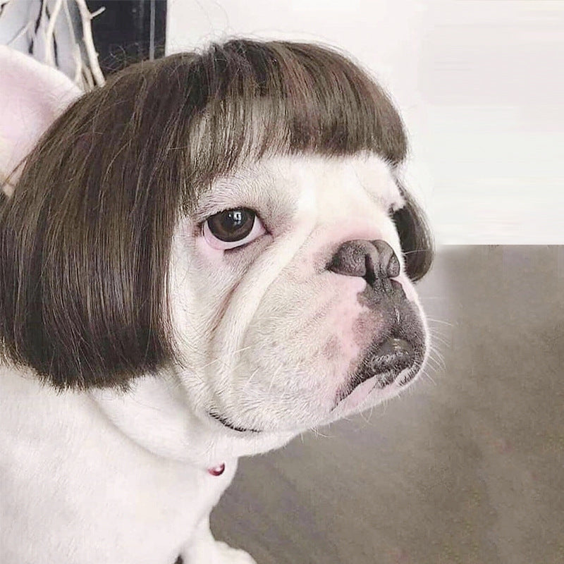 Wig Pretty Pet  Head