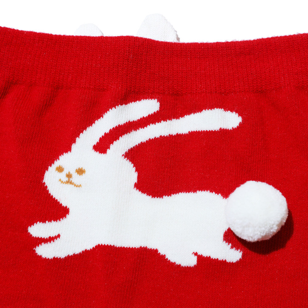 Year Of The Rabbit Good Luck Sweet
