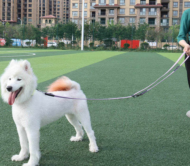 PVC Multifunctional Running Pet Hand Holding Rope