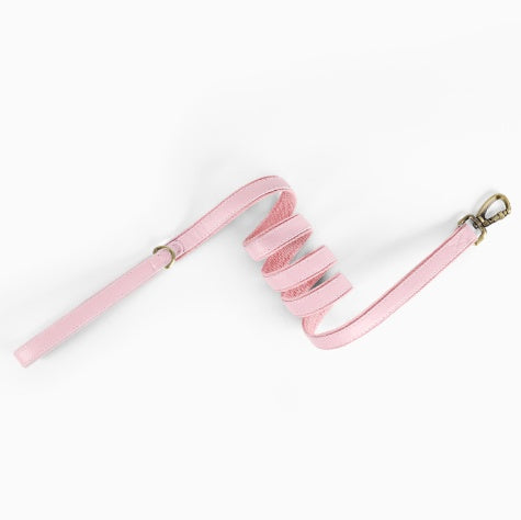 Pet Leather Traction Rope
