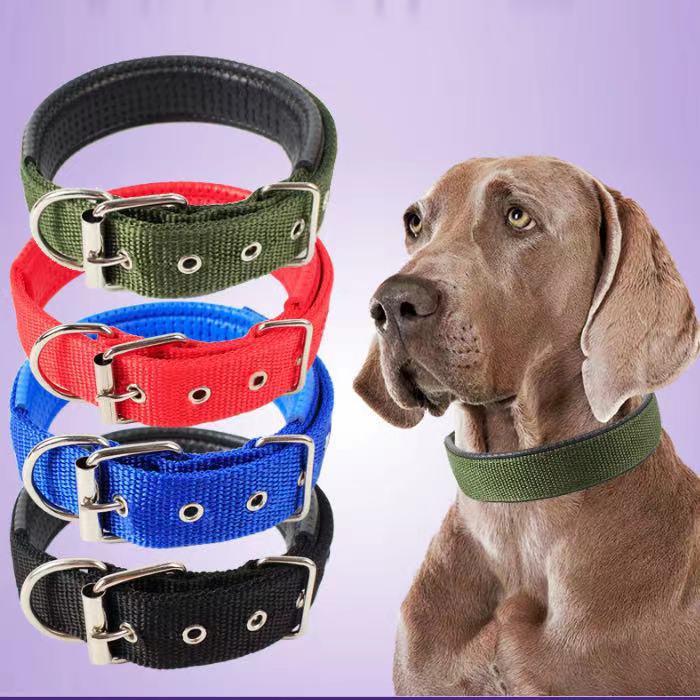 Halsbånd til små og mellemstore hunde til store hunde