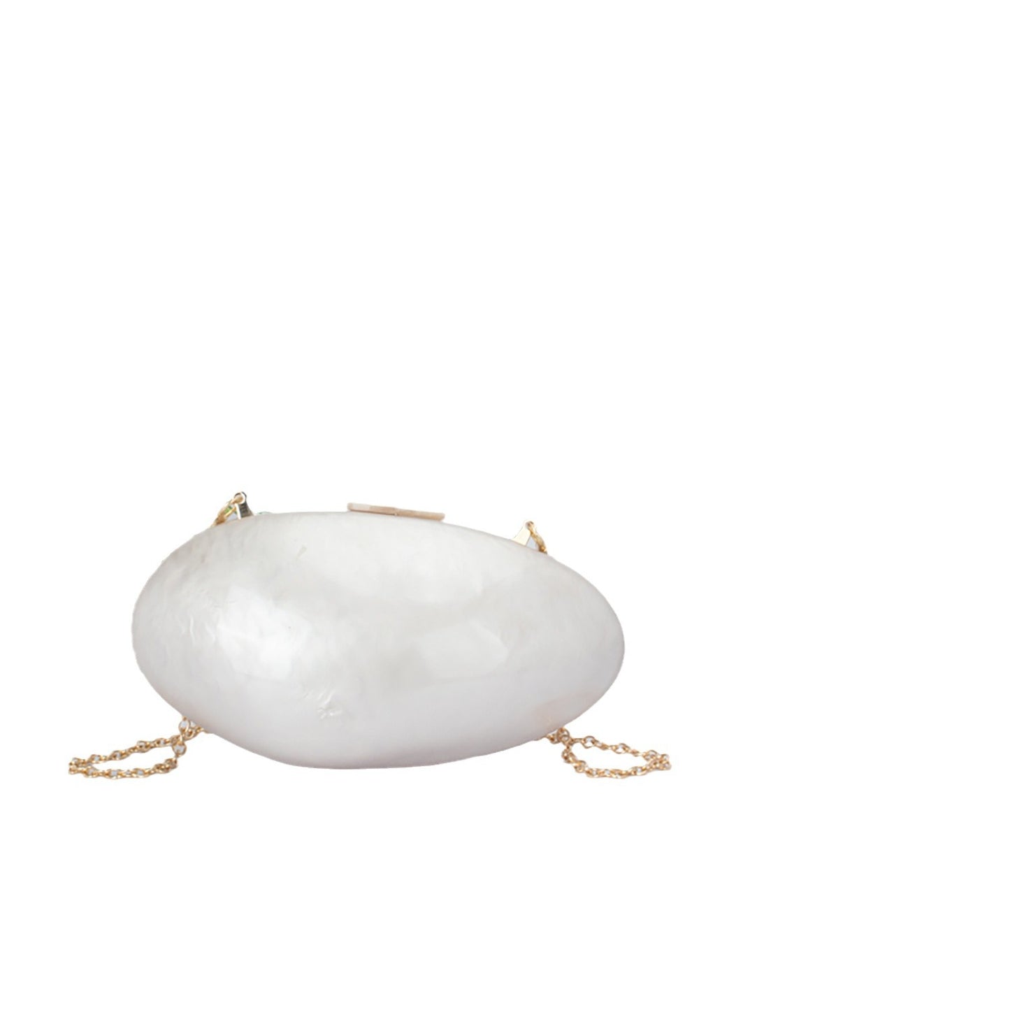 Shell Bag Dinner Wedding Clutch  Acrylic