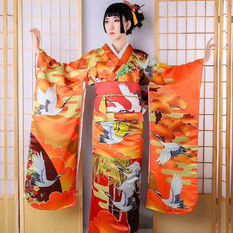 Auspicious Clouds And Cranes Jinxiutu Kimono Formal Dress