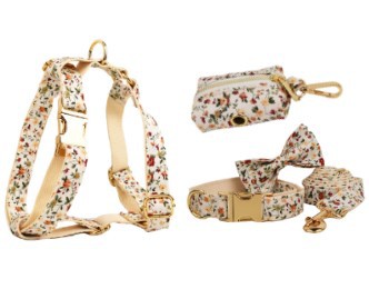 Small White Flower Pet Dog Collar Suit