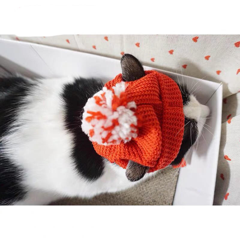 Red Festive Sweater Hat Christmas New Year Series