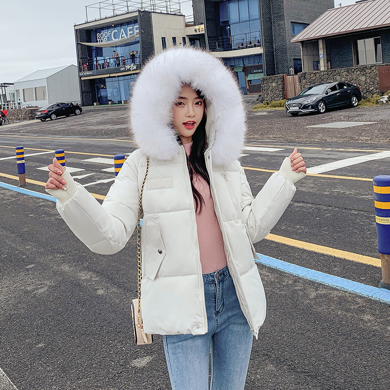 New Autumn Winter Coat Women's Top Down Cotton-padded Jacket