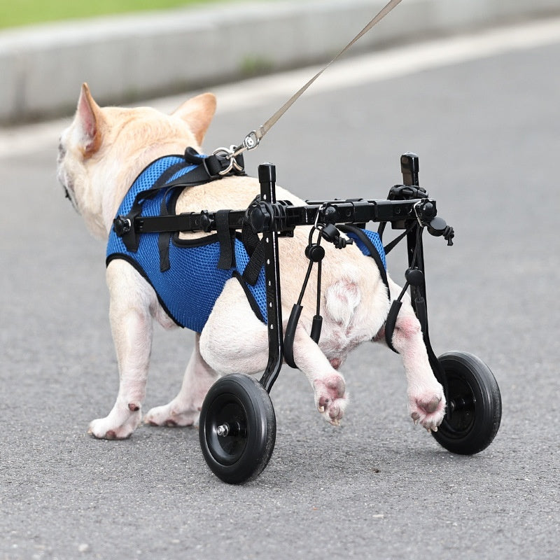 Kæledyr Handicappet Hund Kørestol Scooter
