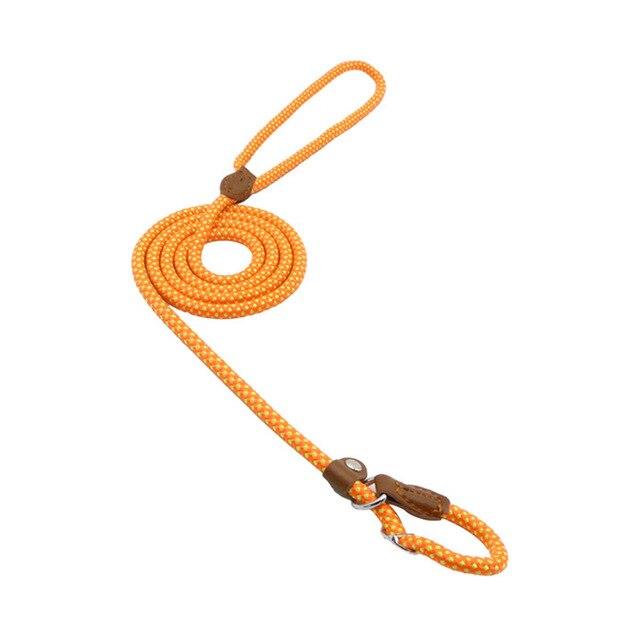 Strong and Sturdy Nylon Dog Collar, Lead, P Type