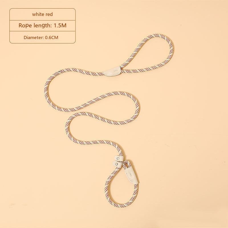 Household Dog Pet Hand Holding Rope
