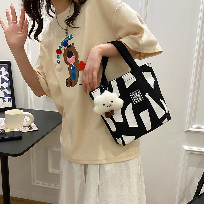 Vanity Canvas Fashion Storage Bag