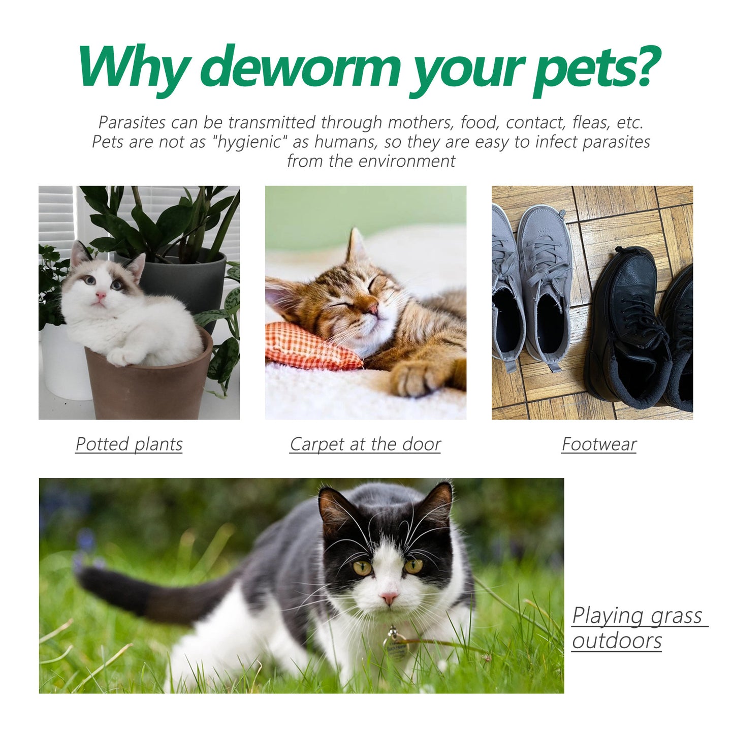 Pet Insect-proof Collar Adjustable Insect Repellent