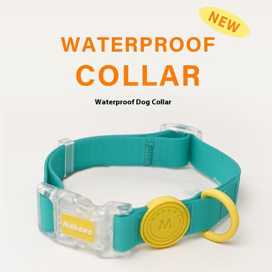Dog Collar Dog Hand Holding Rope