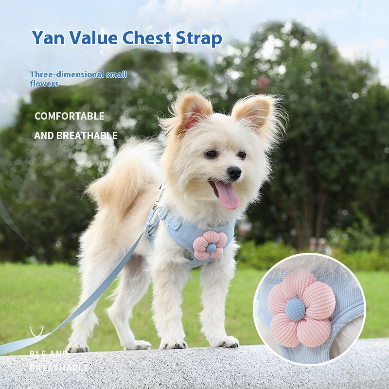 Hundereb Snor Vest-stil Brystsele Hundesnor